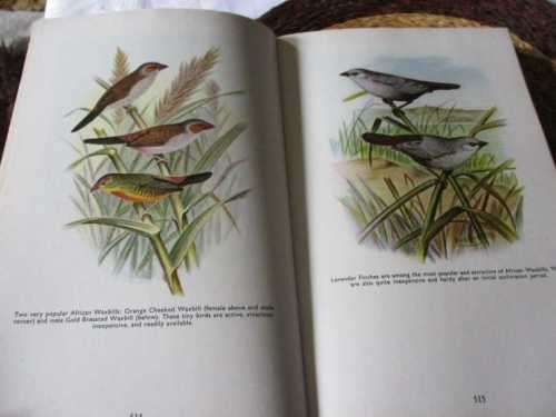 FINCHES AND SOFT-BILLED BIRDS - HENRY BATES AND ROBERT BUSENBARK