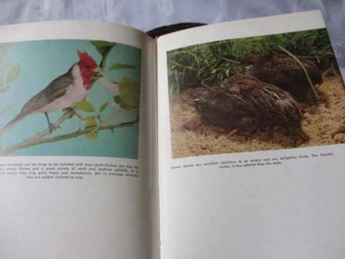 FINCHES AND SOFT-BILLED BIRDS - HENRY BATES AND ROBERT BUSENBARK