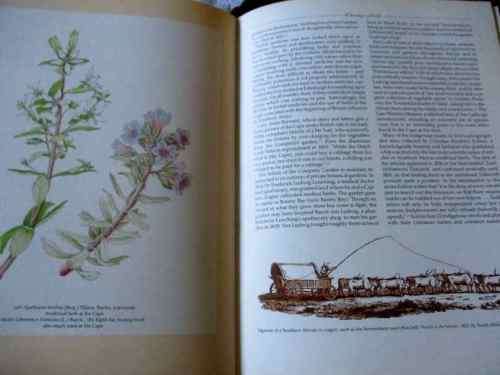 THE PRACTICAL BOOK OF HERBS - GROWING AND USING HERBS IN SOUTHERN AFRICA - YVETTE VAN WIJK