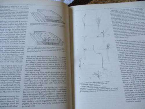 THE PRACTICAL BOOK OF HERBS - GROWING AND USING HERBS IN SOUTHERN AFRICA - YVETTE VAN WIJK