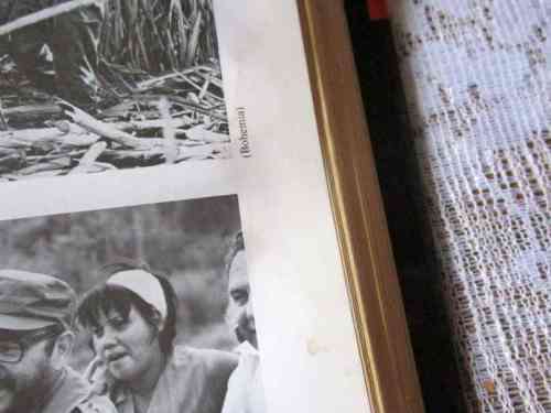 CASTRO - A BIOGRAPHY OF FIDEL CASTRO - PETER BOURNE