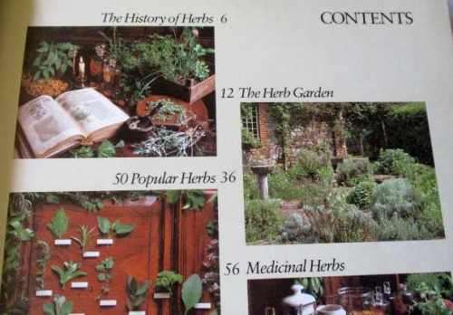 THE HERB BOOK - ARABELLA BOXER & PHILIPPA BACK