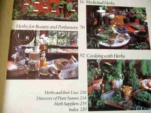 THE HERB BOOK - ARABELLA BOXER & PHILIPPA BACK