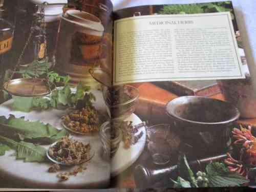 THE HERB BOOK - ARABELLA BOXER & PHILIPPA BACK