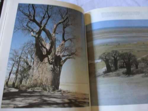 JEWEL OF THE KALAHARI  - OKAVANGO - KAREN ROSS