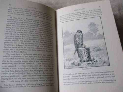 THE ART OF FALCONRY - THE HON GERALD LASCELLES