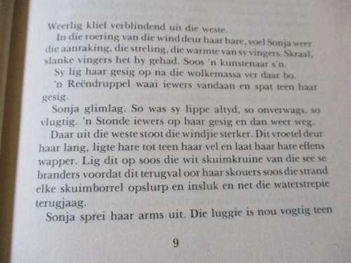 DIE SEUNS VAN OUMAN RAUBENHEIMER - RENA DE KOCK   ( hardeband / roman / avontuur )