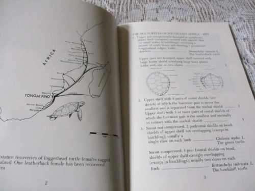 SEA TURTLES: A GUIDE - NATAL PARKS BOARD