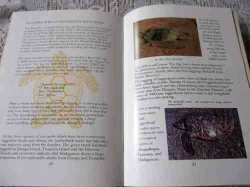 SEA TURTLES: A GUIDE - NATAL PARKS BOARD