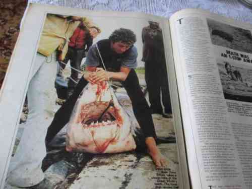 SCOPE MAGAZINE 29 DEC 1978 ( RAQUEL WELCH, SCOPE GIRL OF THE YEAR CALENDER, DEBBIE COETZEE, SHARKS )