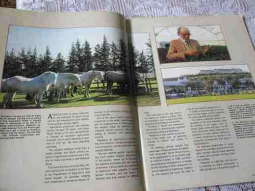 SA PANORAMA MAGAZINE MARCH 1989 ( JUNE te WATER SCULPTOR, GENADENDAL, BELHAR, GORDON`S BAY )