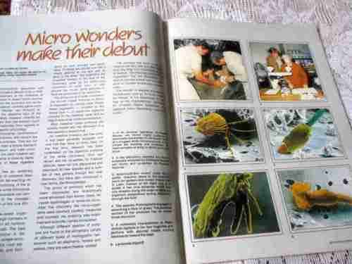 SA PANORAMA MAGAZINE MARCH 1989 ( JUNE te WATER SCULPTOR, GENADENDAL, BELHAR, GORDON`S BAY )