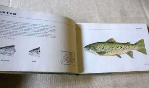 VISSE VAN TRANSVAAL DEUR PIETER  LE ROUX EN LOUIS STEYN