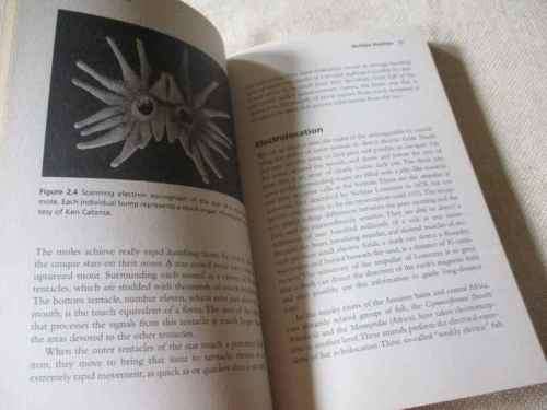 ANIMAL BEHAVIOR - JOHN A BYERS