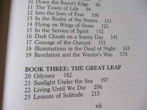 SACRED JOURNEY OF THE PEACEFUL WARRIOR - DAN MILLMAN