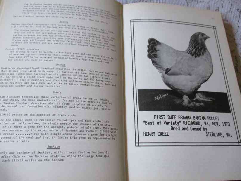 BANTAM BREEDING AND GENETICS - FRED P JEFFREY