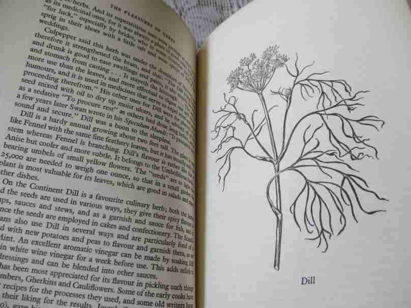 PLEASURES OF HERBS - AUDREY WYNNE HATFIELD