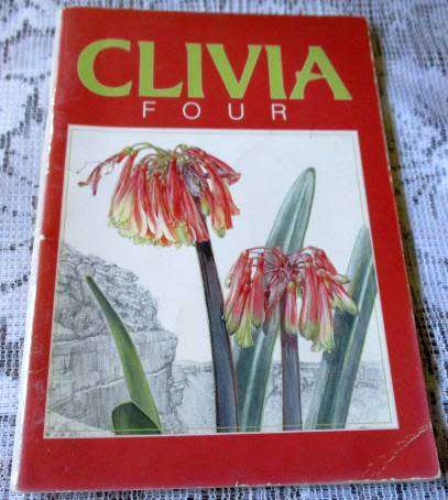 CLIVIA FOUR - CLIVIA SOCIETY S.A.