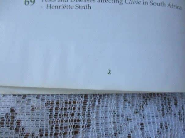 CLIVIA FOUR - CLIVIA SOCIETY S.A.