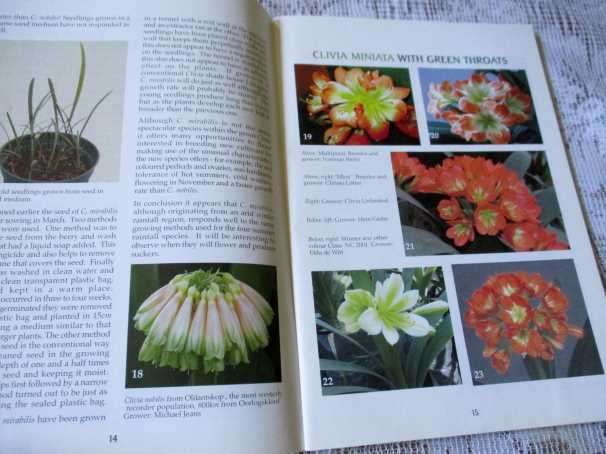 CLIVIA FOUR - CLIVIA SOCIETY S.A.