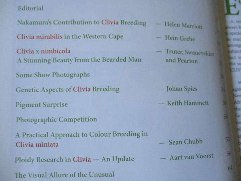 CLIVIA 8  - CLIVIA SOCIETY S.A.