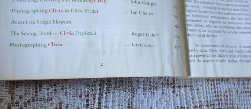 CLIVIA 8  - CLIVIA SOCIETY S.A.