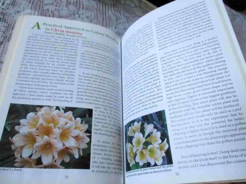 CLIVIA 8  - CLIVIA SOCIETY S.A.