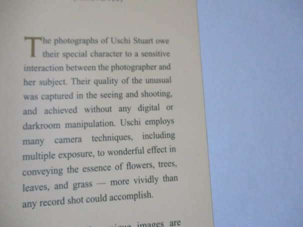 THE SOUL THINKS IN IMAGES - USCHI STUART