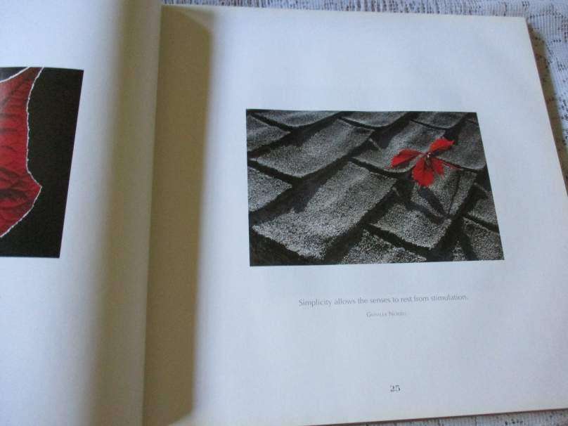 THE SOUL THINKS IN IMAGES - USCHI STUART