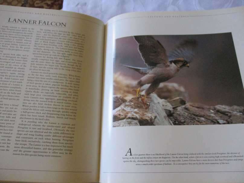 SOUTHERN AFRICAN BIRDS OF PREY - PETER AND BEVERLEY PICKFORD & WARWICK TARBOTON