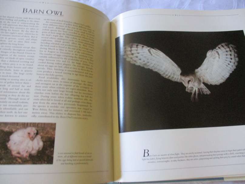 SOUTHERN AFRICAN BIRDS OF PREY - PETER AND BEVERLEY PICKFORD & WARWICK TARBOTON