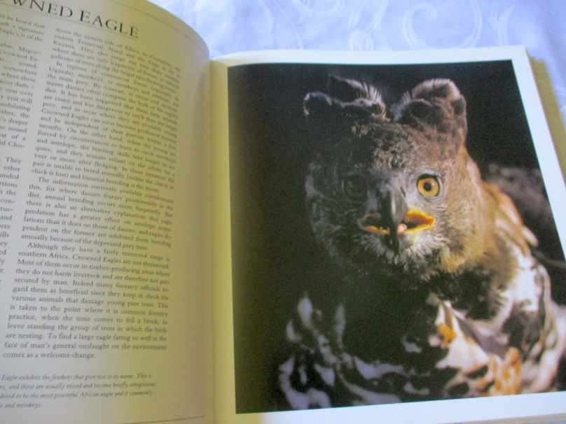 SOUTHERN AFRICAN BIRDS OF PREY - PETER AND BEVERLEY PICKFORD & WARWICK TARBOTON