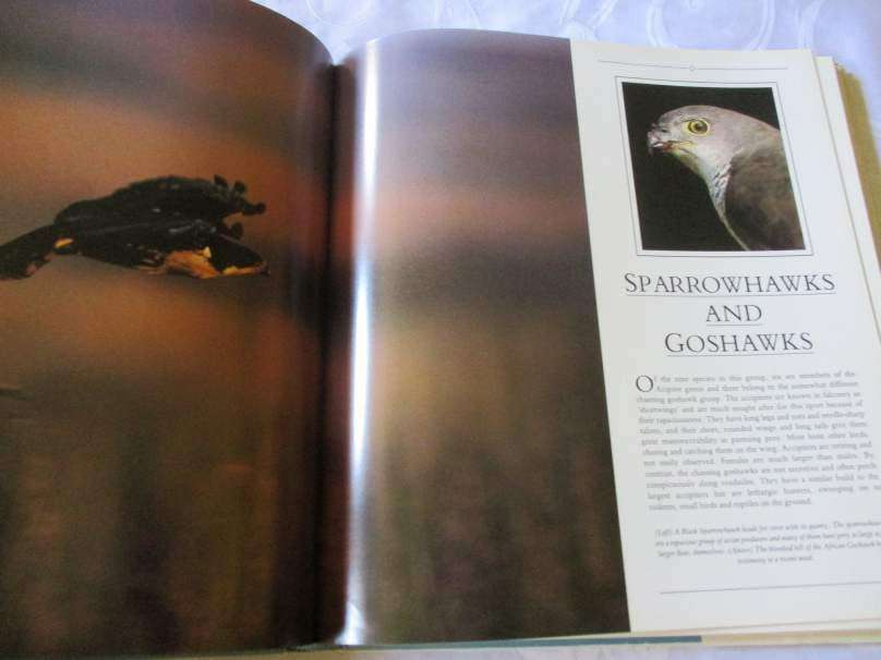 SOUTHERN AFRICAN BIRDS OF PREY - PETER AND BEVERLEY PICKFORD & WARWICK TARBOTON