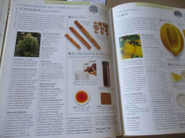 THE ENCYCLOPEDIA OF MEDICINAL PLANTS - A PRACTICAL REFERENCE GUIDE TO OVER 550 KEY HERBS & THEIR MED