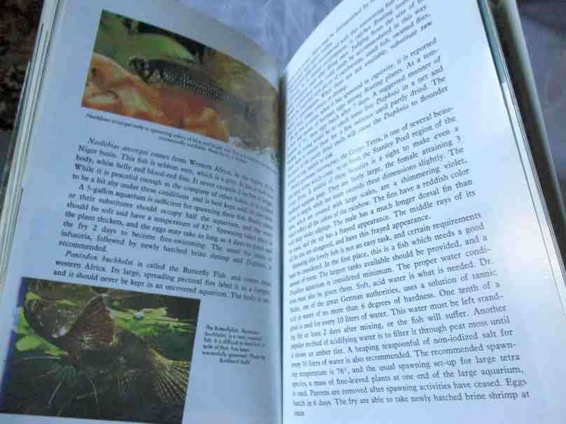 ENCYCLOPEDIA OF TROPICAL FISHES - DR HERBERT R AXELROD & WILLIAM VORDERWINKLER
