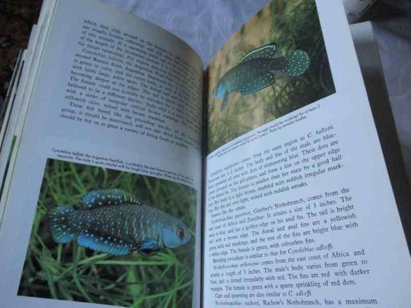 ENCYCLOPEDIA OF TROPICAL FISHES - DR HERBERT R AXELROD & WILLIAM VORDERWINKLER