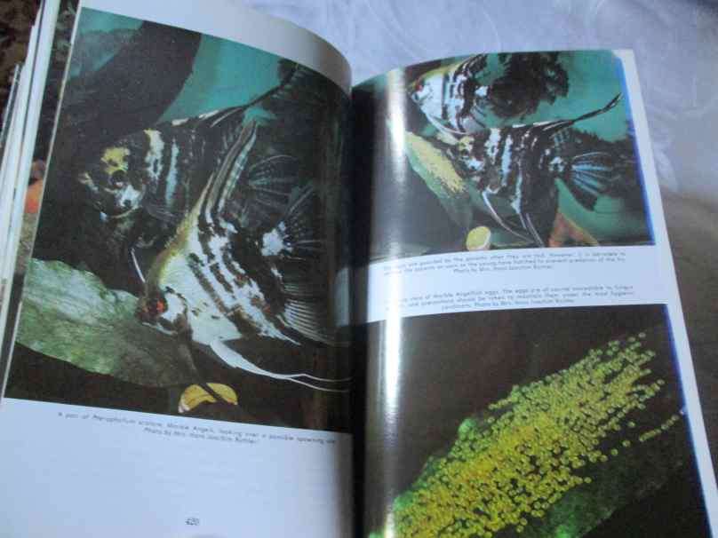 ENCYCLOPEDIA OF TROPICAL FISHES - DR HERBERT R AXELROD & WILLIAM VORDERWINKLER