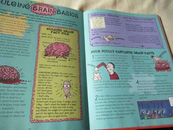 HORRIBLE SCIENCE ANNUAL 2008