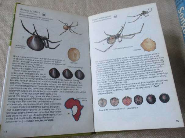 SPIDERS - GERRY NEWLANDS & ELBIE DE MEILLON - STRUIK POCKET GUIDES FOR SOUTHERN AFRICA