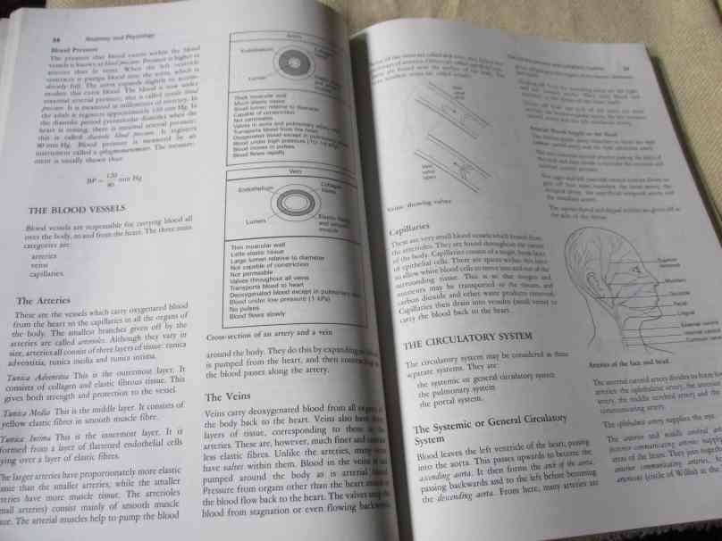 AESTHETICS FOR THE THERAPIST - THEORY & PRACTICE - ANN HAGMAN