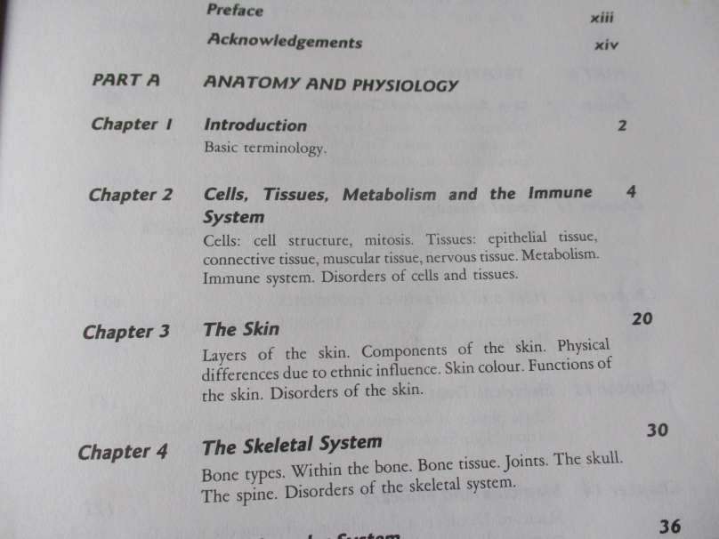 AESTHETICS FOR THE THERAPIST - THEORY & PRACTICE - ANN HAGMAN