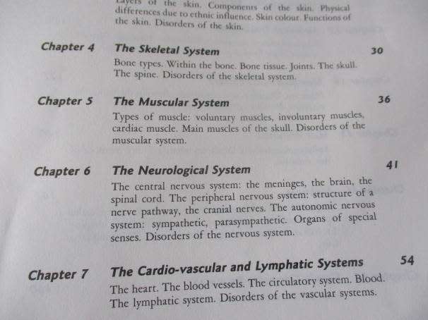 AESTHETICS FOR THE THERAPIST - THEORY & PRACTICE - ANN HAGMAN