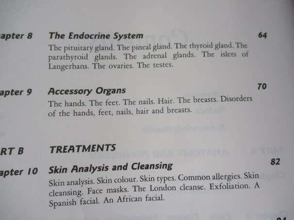 AESTHETICS FOR THE THERAPIST - THEORY & PRACTICE - ANN HAGMAN