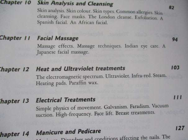 AESTHETICS FOR THE THERAPIST - THEORY & PRACTICE - ANN HAGMAN