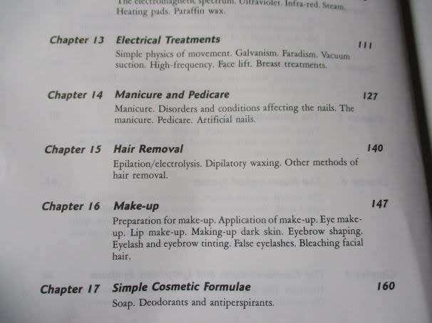 AESTHETICS FOR THE THERAPIST - THEORY & PRACTICE - ANN HAGMAN