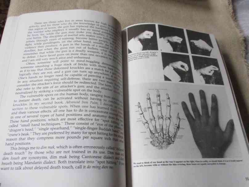 THE COMPLETE IRON PALM - BRIAN GRAY ( martial arts )