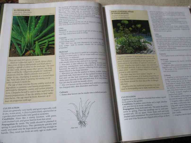 A-Z OF HERBS - MARGARET ROBERTS