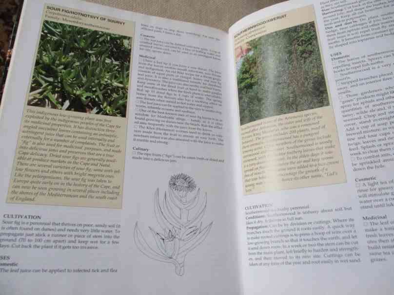 A-Z OF HERBS - MARGARET ROBERTS