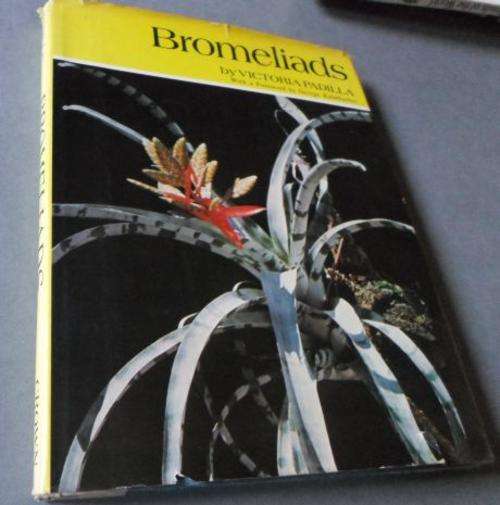 BROMELIADS - VICTORIA PADILLA