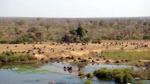 1 Week Self Catering Accommodation at Ngwenya Lodge - 10km from Kruger Park (18-25 Nov)